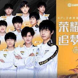 什维利的沉 什维利的沉