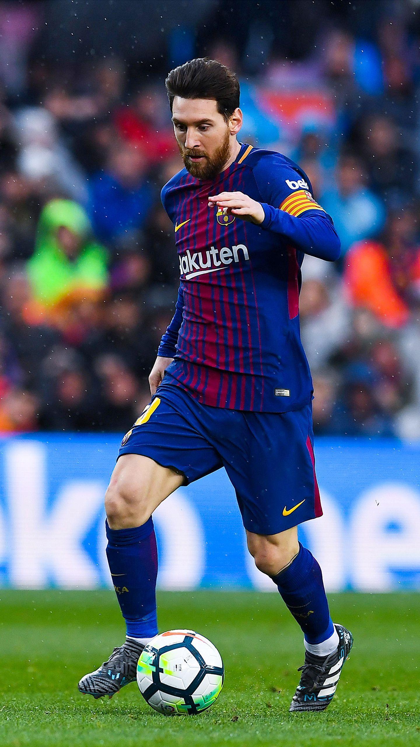 的文章结构 的文章结构