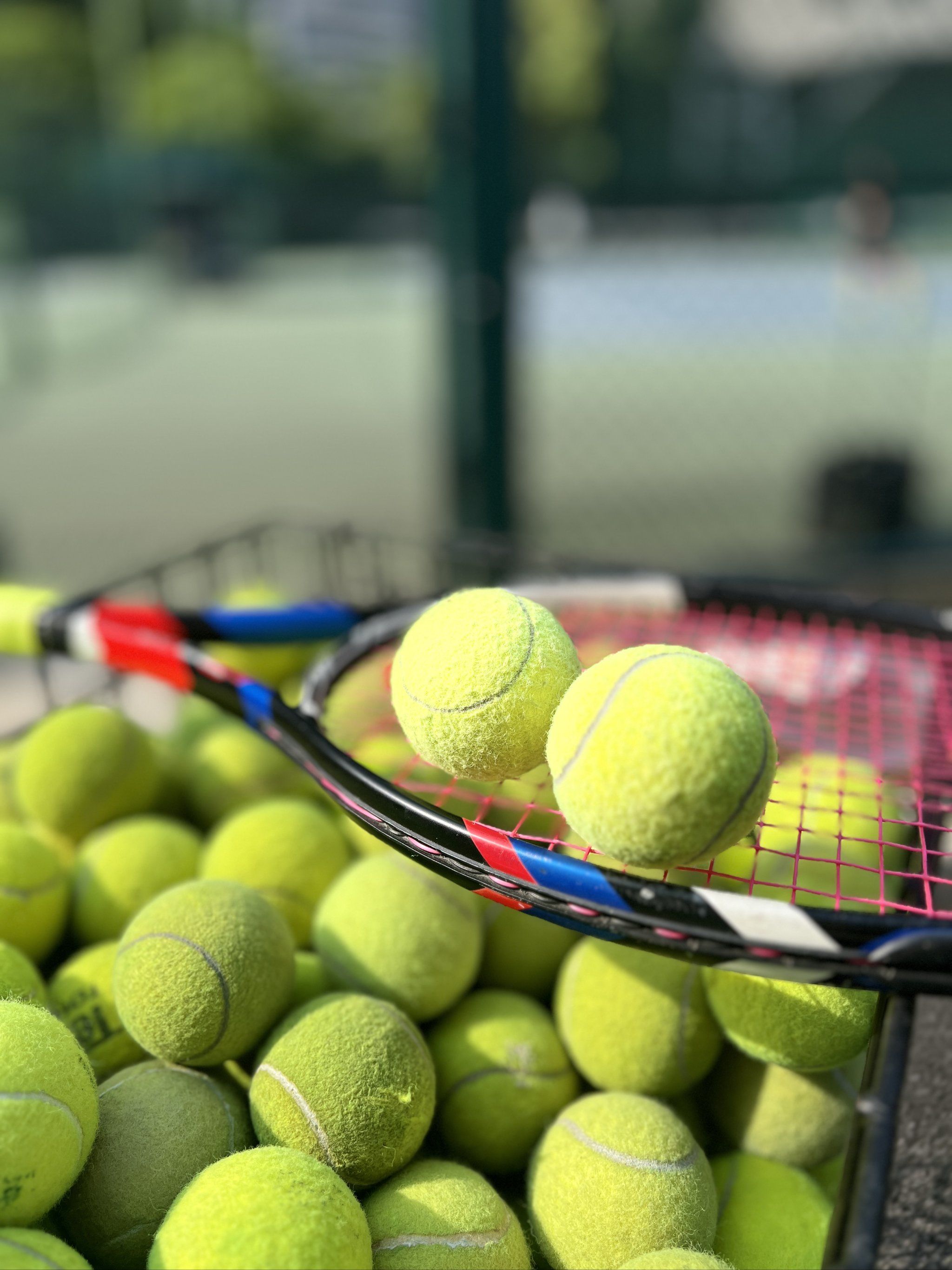 以防守积极 以防守积极