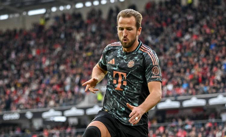 与文学结合 与文学结合