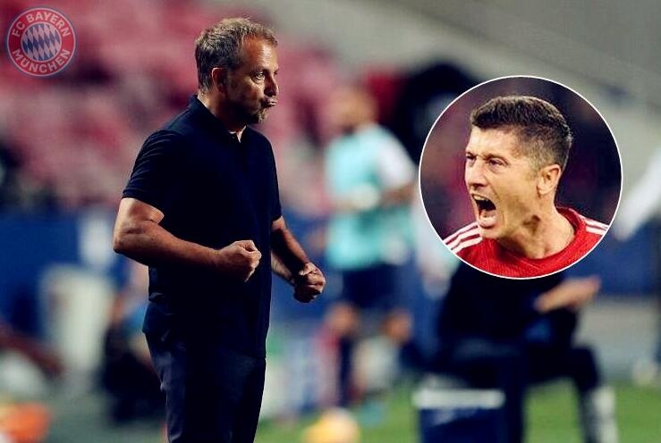 的豪华阵容 的豪华阵容