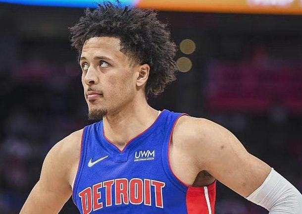 术相结合的 术相结合的